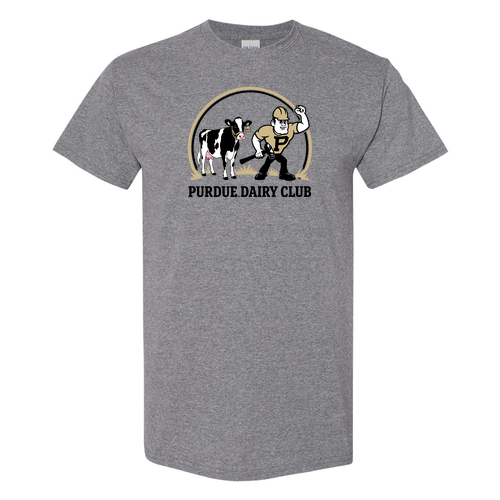 Gildan Heavy Cotton Basic T-Shirt -- Graphite Heather