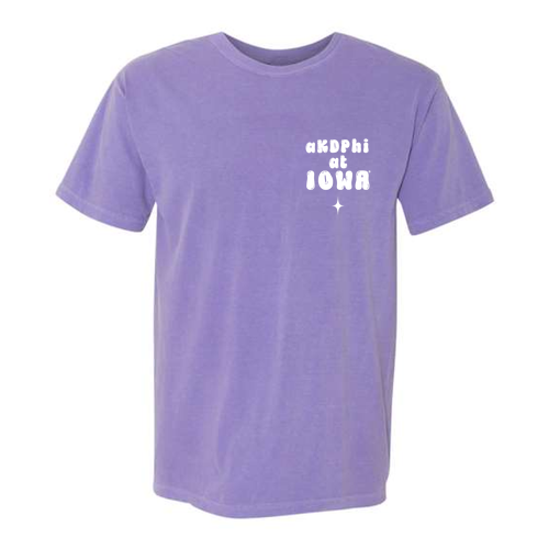 Comfort Colors Unisex Garment-Dyed Heavyweight T-Shirt -- Violet