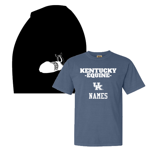 Comfort Colors Unisex Garment-Dyed Heavyweight T-Shirt -- (For Mom, Dad, & Alumni) -- Blue Jean