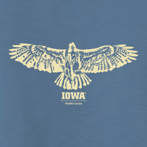 Next Level Mens TriBlend Tee -- Indigo Blue