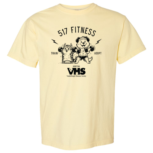 Comfort Colors Heavyweight Adult T-Shirt -- Banana