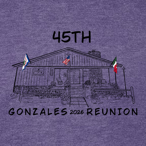 Gildan SoftStyle T-Shirt -- Heather Purple