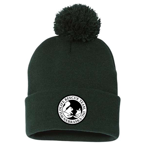 Sportsman Pom Pom Knit Hat -- Forest