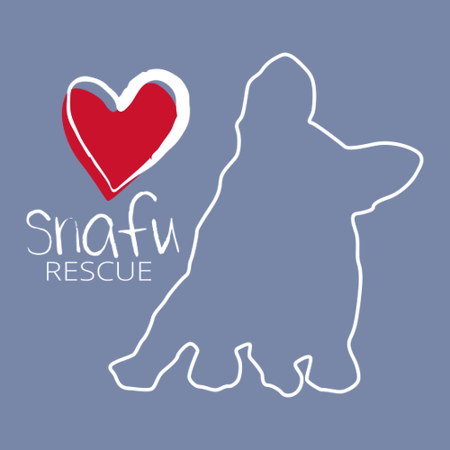 Comfort Colors Heavyweight Adult T-Shirt -- Washed Denim