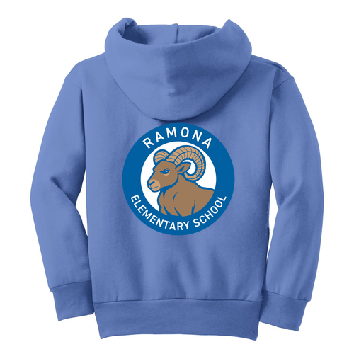 Port and Company Youth Full-Zip Hooded Sweatshirt -- Carolina Blue