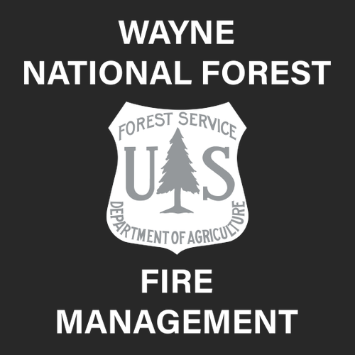 Hanes Beefy-T Basic T-Shirt -- Black