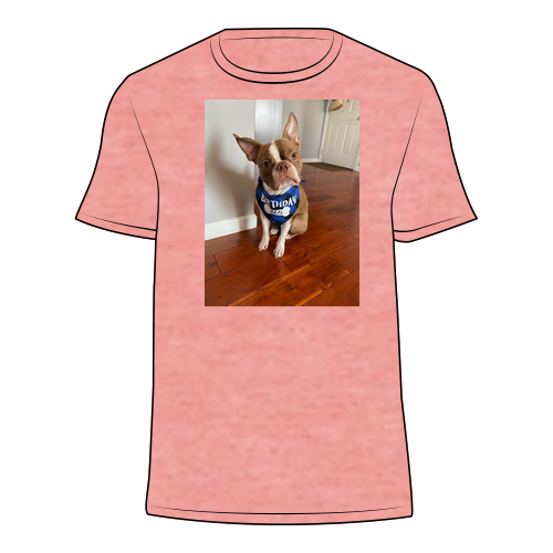 Gildan SoftStyle Fitted T-Shirt -- Heather Coral Silk