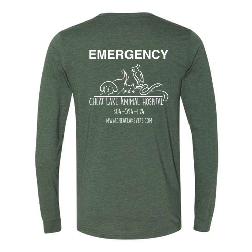 Bella+Canvas Unisex Heather Cvc Long Sleeve Tee- Heathers -- Heather Forest