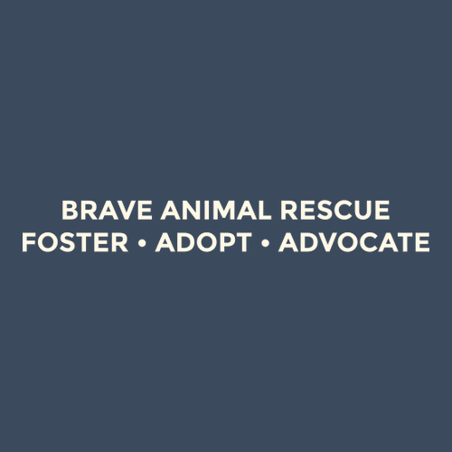 Embroidered Brave Long Sleeve Tee -- Midnight