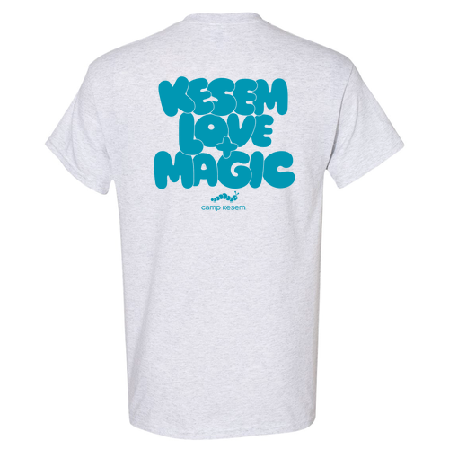 Gildan Heavy Cotton Basic T-Shirt -- Ash