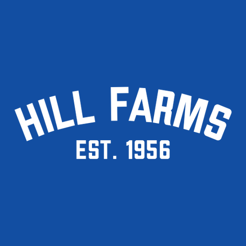 Gildan Ultra Cotton Basic T-Shirt -- Antique Royal