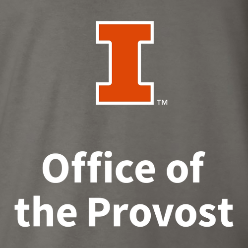 Gildan Ultra Cotton Longsleeve Basic T-Shirt -- Charcoal