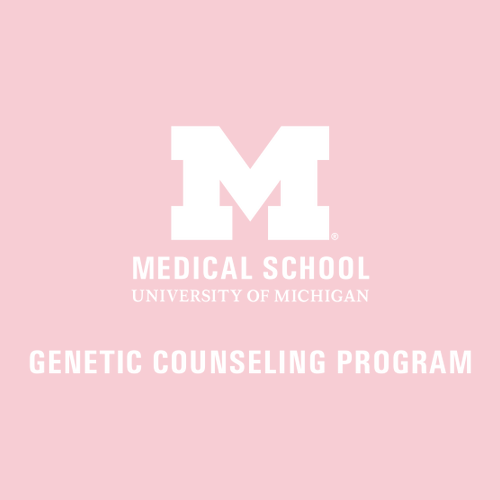 Gildan Heavy Blend Hooded Sweatshirt -- Light Pink