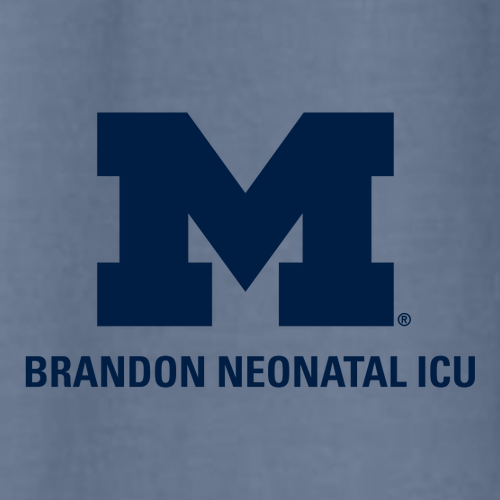 Comfort Colors Soft Quarter Zip Sweatshirt -- Blue Jean