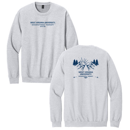 Gildan Adult Softstyle Fleece Crew Sweatshirt -- Ash Grey