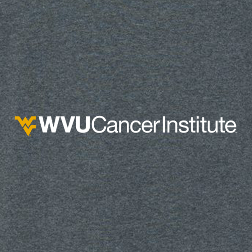 Gildan SoftStyle Fitted T-Shirt -- Dark Heather