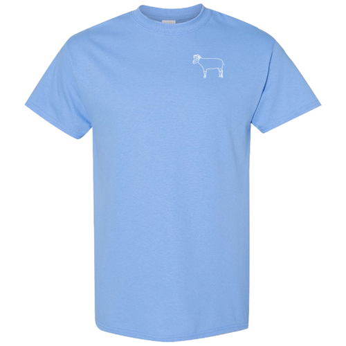 Gildan Cotton T-Shirt -- Carolina Blue