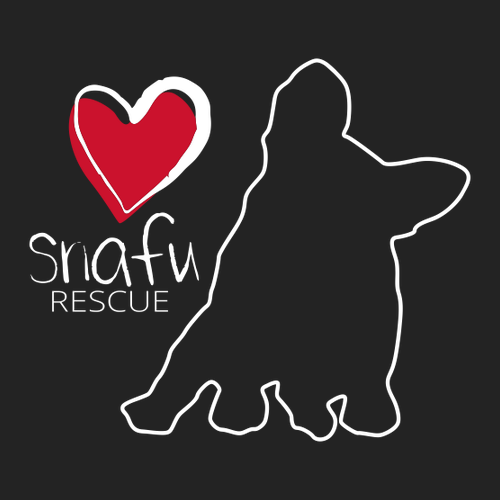 District Women's Perfect Weight Fleece Cropped Crew -- Jet Black