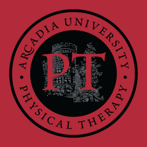 Next Level Premium TriBlend Tee -- Red