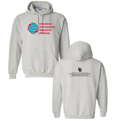 Gildan Heavy Blend Hooded Sweatshirt -- Ash