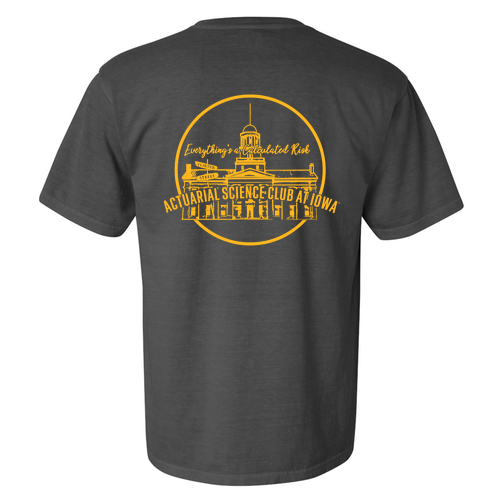 Comfort Colors Ringspun Garment Dyed T Shirt -- Pepper