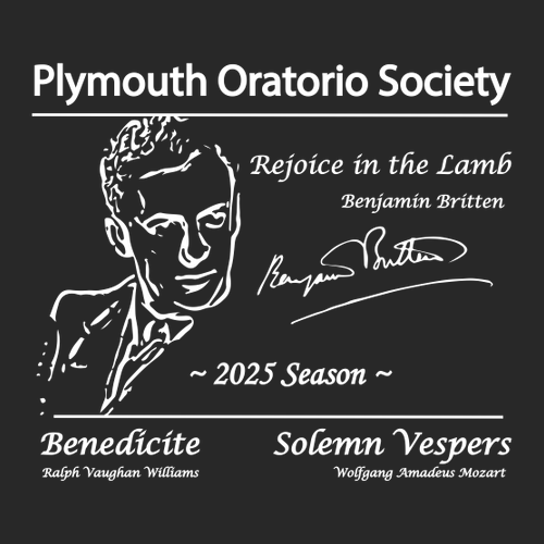 Gildan Ultra Cotton Basic T-Shirt -- Black