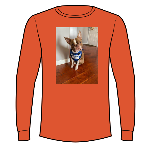 Gildan Ultra Cotton Longsleeve Basic T-Shirt -- Orange