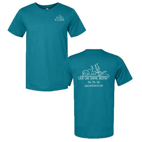 Bella Canvas Unisex Jersey T-Shirt -- Marine