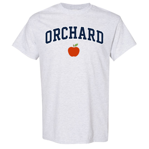 Gildan Heavy Cotton Ash T-Shirt