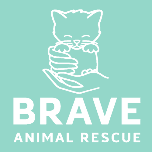 Brave Long Sleeve Tee -- Chalky Mint