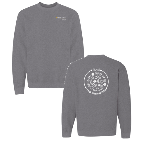 Gildan Heavy Blend Crew Neck Sweatshirt -- Graphite Heather