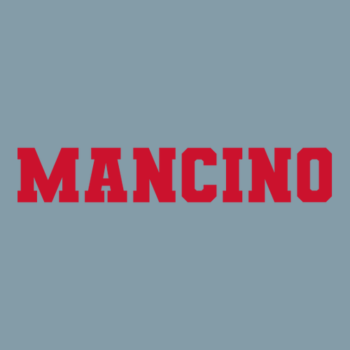 Men's Heavyweight Tee -- Vintage Denim MANCINO