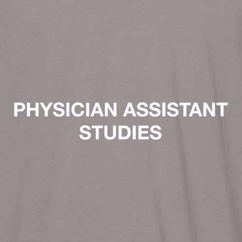 Comfort Colors Heavyweight Adult T-Shirt -- Grey