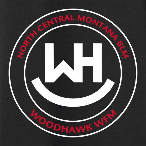 Hanes Adult 6 oz. Authentic-T Long-Sleeve T-Shirt -- Black