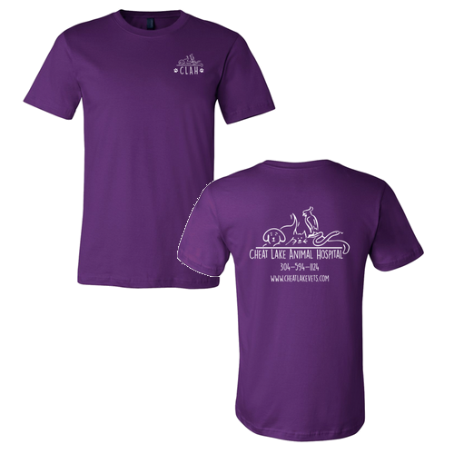 Bella Canvas Unisex Jersey T-Shirt -- Team Purple