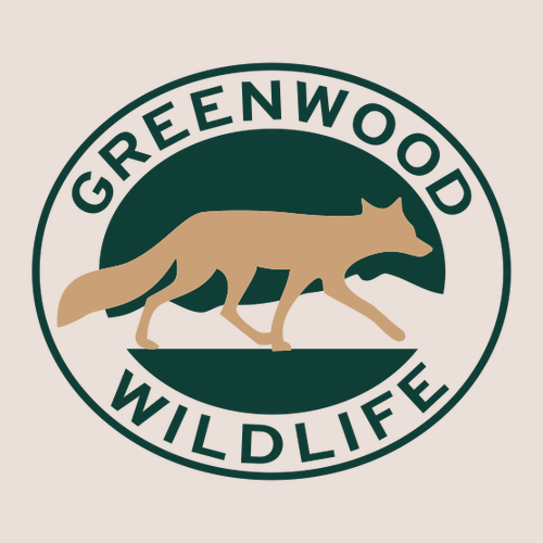 Champion 9 oz., 50/50 EcoSmart Pullover Hood -- Body Blush