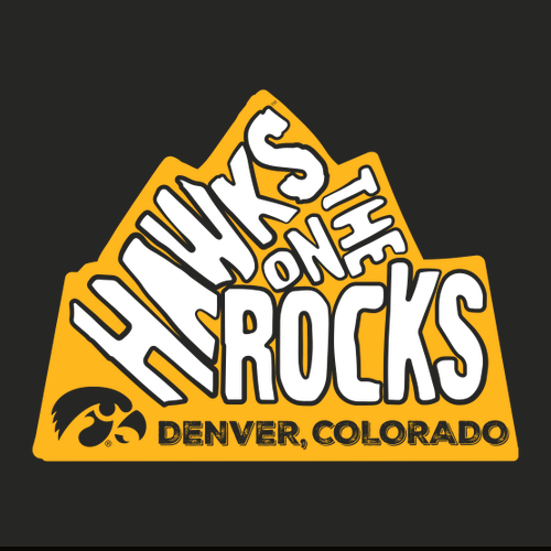 District Made Ladies Perfect Blend V-Neck Tee -- Black