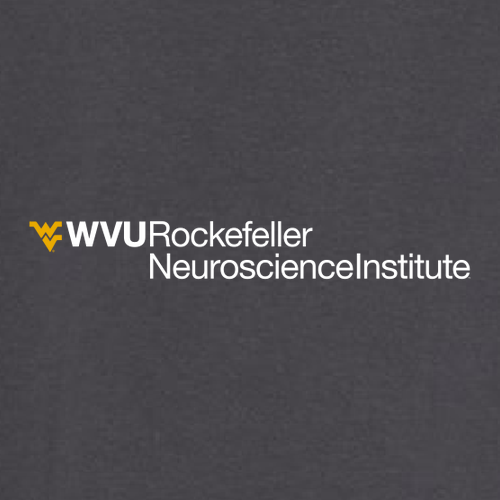 Comfort Colors Ringspun Long Sleeve Tee -- Graphite