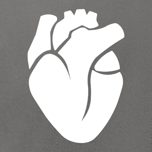 Cardiology North Face Ladies Soft Shell Jacket -- Asphalt Grey