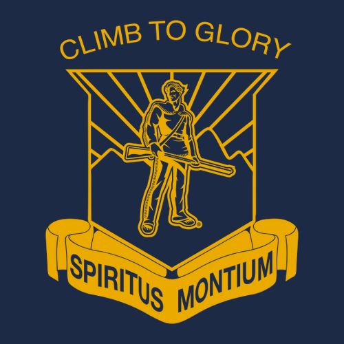 Gildan SoftStyle T-Shirt -- Navy