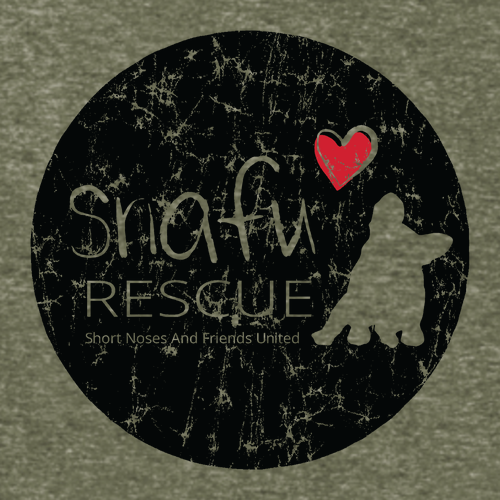 District Made Mens Perfect Tri Crew Tee -- Military Green Frost