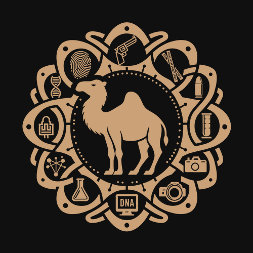 Gildan Softstyle CVC T-Shirt -- Pitch Black -- Camel