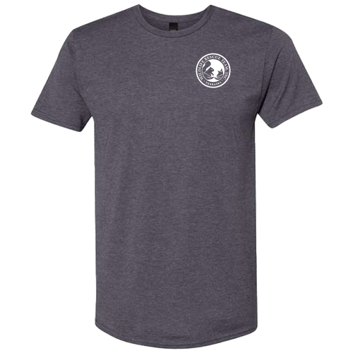 Hanes Perfect-T Ring Spun T-Shirt -- Charcoal Heather