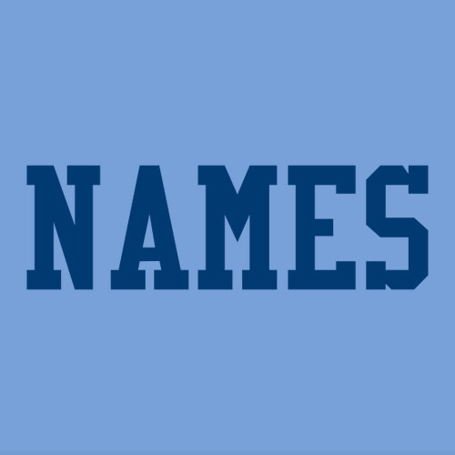 Gildan Heavy Blend Youth Hooded Sweatshirt -- Carolina Blue