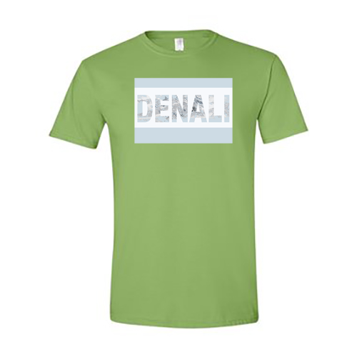 Gildan SoftStyle T-Shirt -- Kiwi