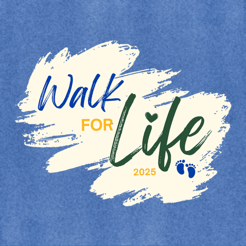 Gildan Youth Softstyle T-Shirt -- Heather Royal