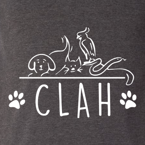 Bella+Canvas Unisex Heather Cvc Long Sleeve Tee- Heathers -- Dark Grey Heather