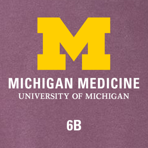 Gildan Heavy Cotton Basic T-Shirt -- Berry