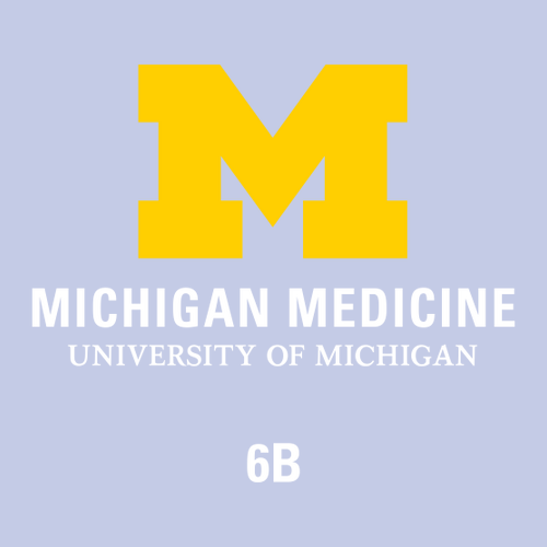 Gildan Heavy Cotton Basic T-Shirt -- Lilac