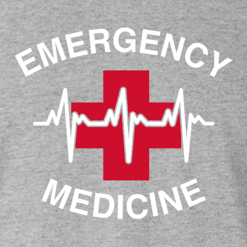 Gildan Softstyle Longsleeve T Shirt -- Sport Grey